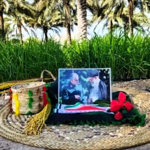 فاطمه محمدی