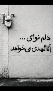 زهرا ذوالفقاری