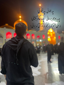 امیررضا گنج خانلو
