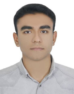 حسین عرشی