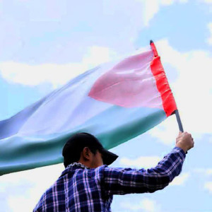 علی مقدسی