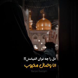 نرجس دستگیری