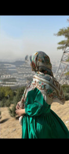 مریم فرجی