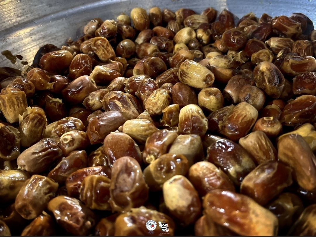 موکب بقیه الله🇮🇷 - ۳