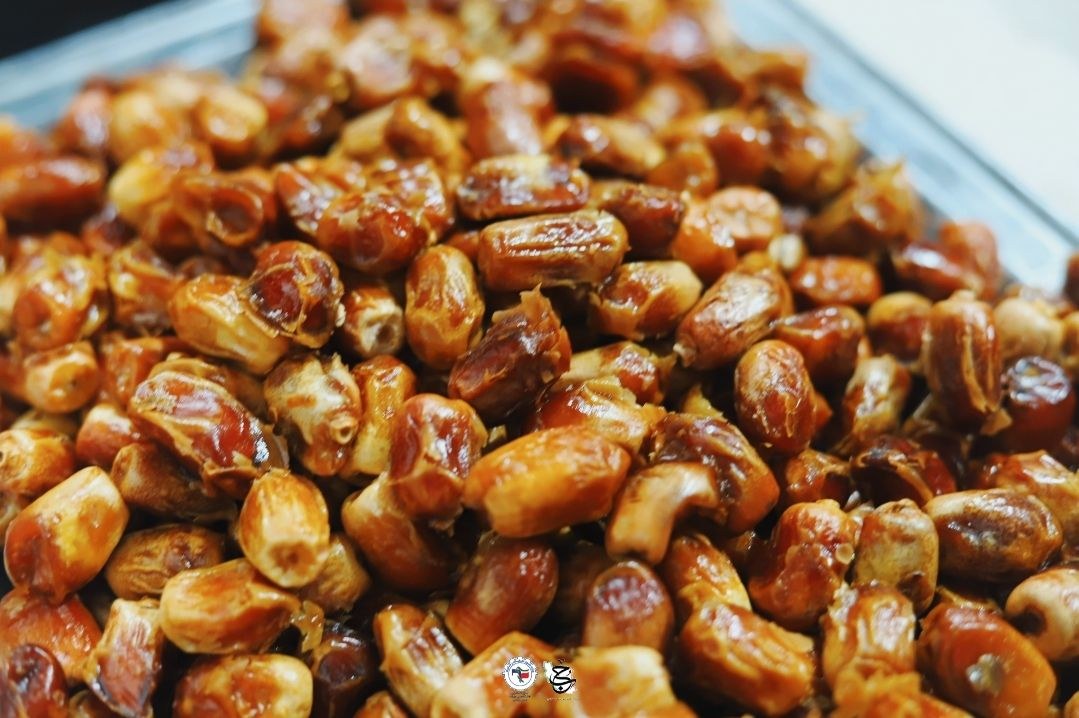 موکب بقیه الله🇮🇷 - ۷