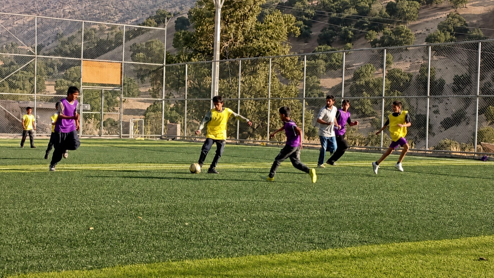 تربیت بدنی