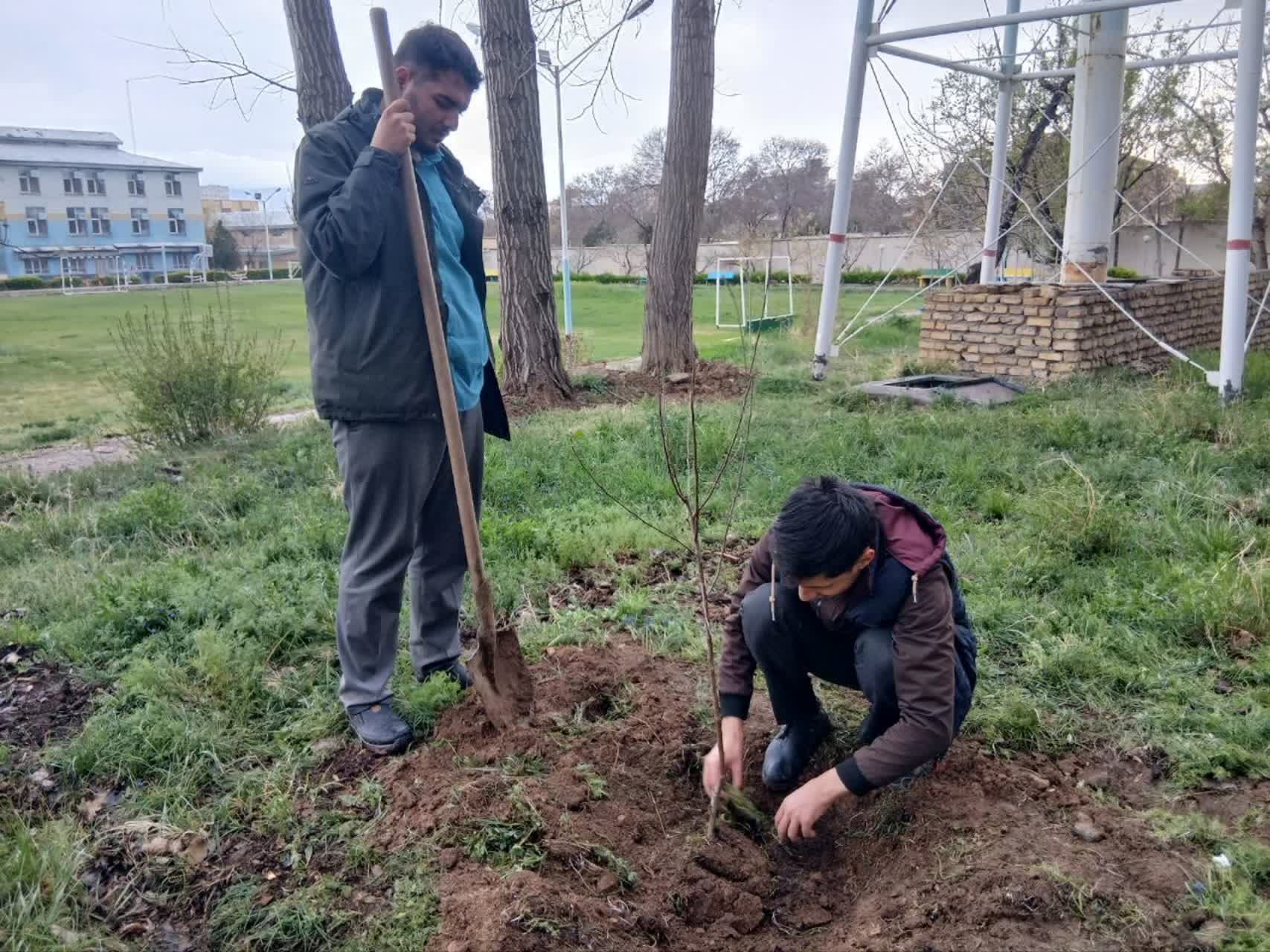 درختکاری دانشجو معلمان - ۴