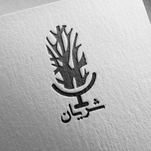 شریان