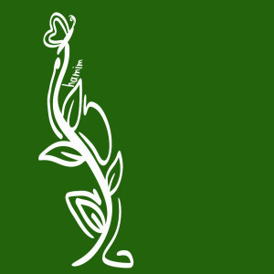 حامیم