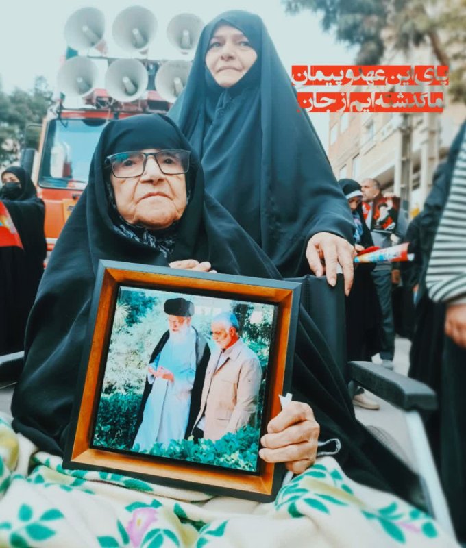 همه در میدان