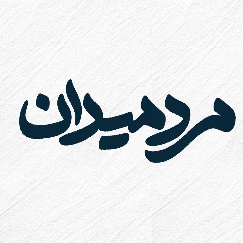 مرد میدان ۳