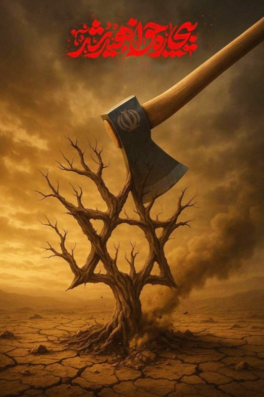 بیچاره خواهید شد