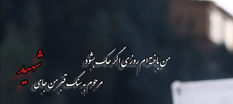 باخته ام