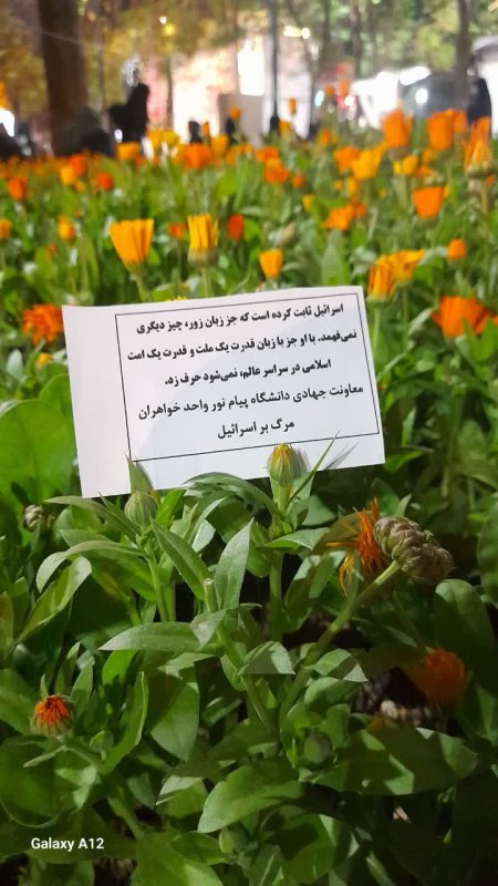 #گزارش تصویری  پخش تراکت در تجمعات شبانه توسط دانشجویان خواهر دانشگاه پیام نور لرستان   بسیج دانشجویی پیام نور لرستان