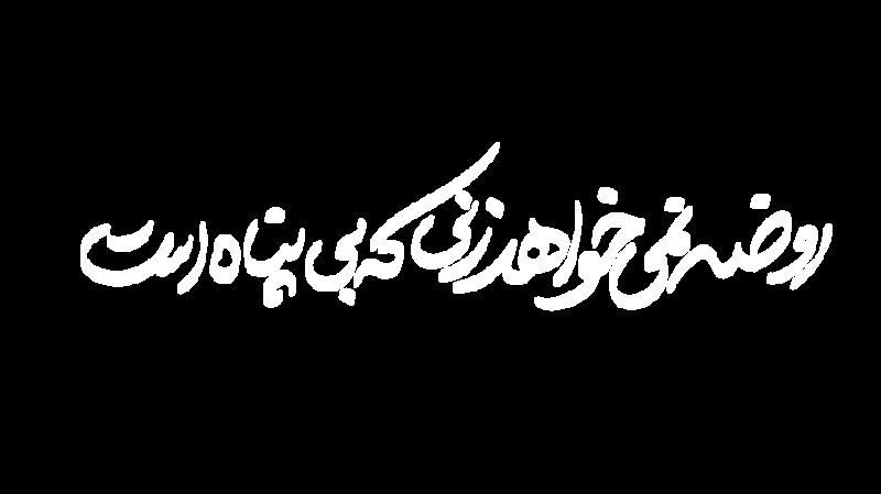 تایپو جنگی