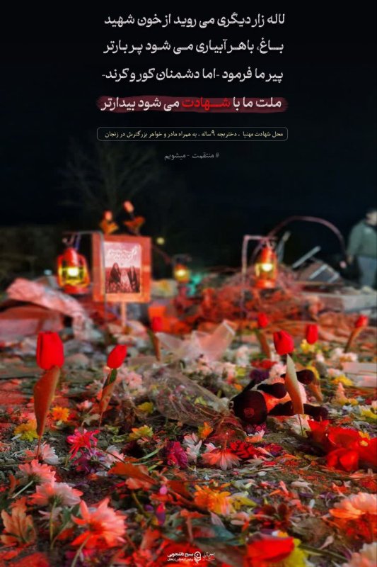 🇮🇷🌷