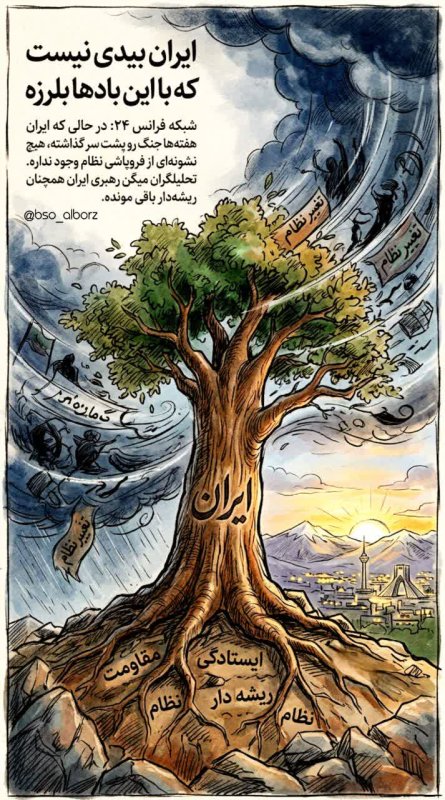 رهبری ریشه دار