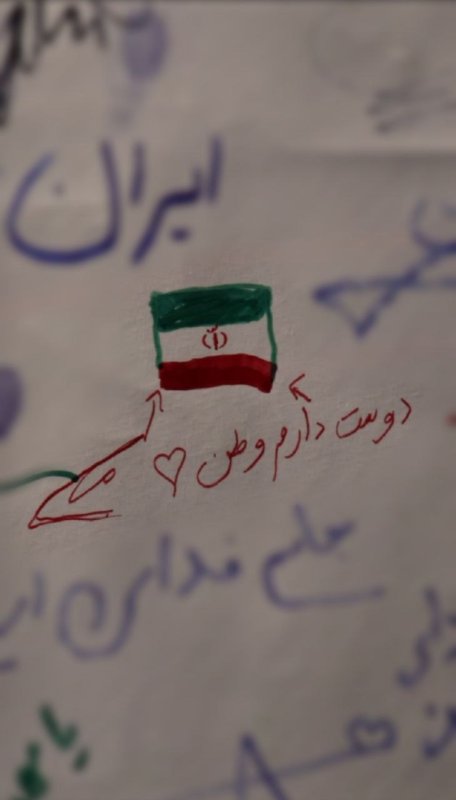 دوستت دارم وطن!