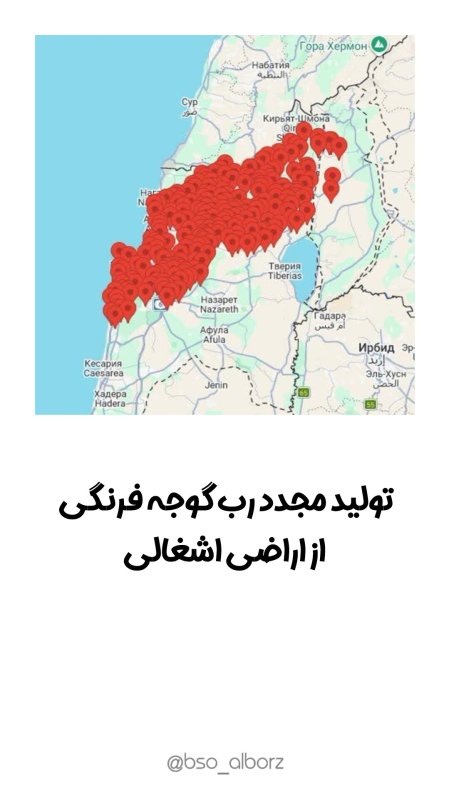 تولید رب گوجه فرنگی از اراضی اشغالی