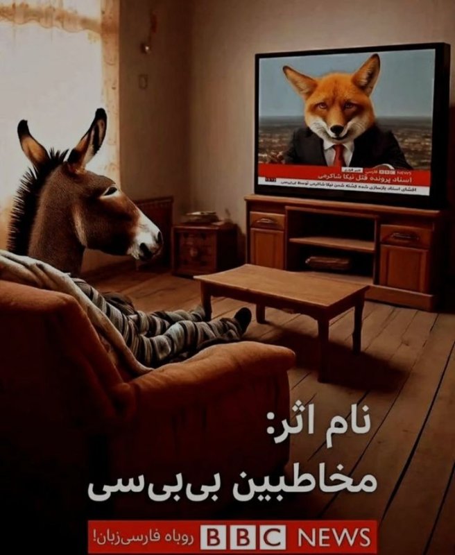 مخاطبین بی بی سی