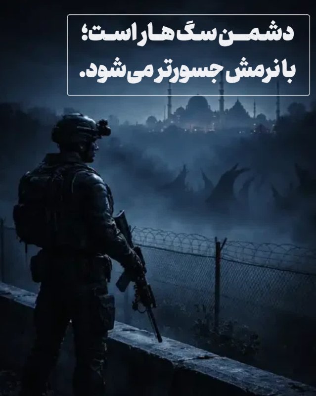 سگ هار است