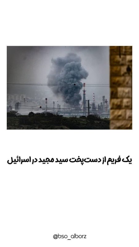 دست پخت سید مجید...