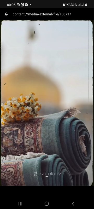 ولادت امام رضا