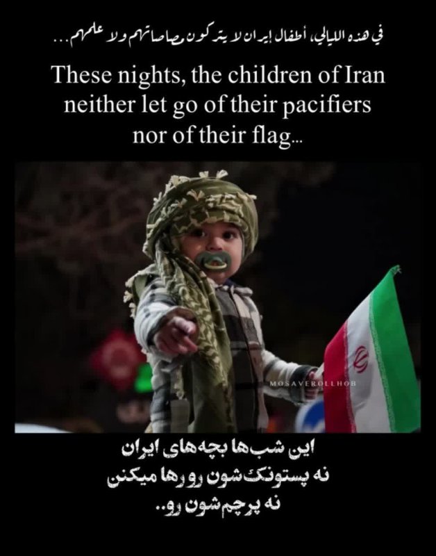 شیر بچه های ایرانی