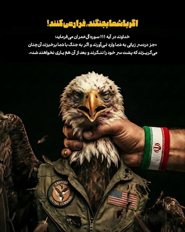فرار می کنند