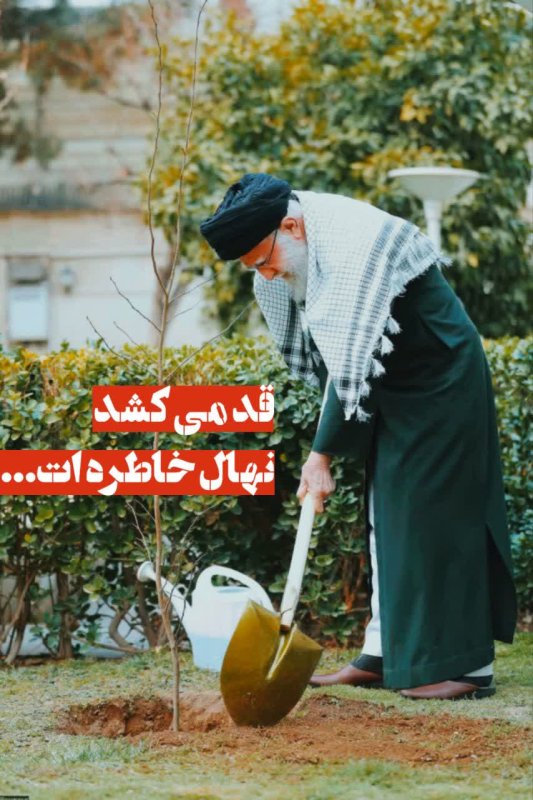 قـد مے‌کشـد نهـال خاطـره‌ات...