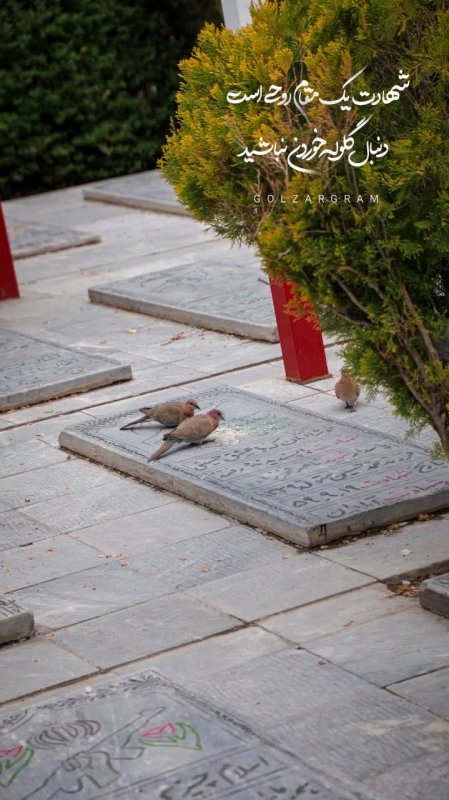 شهادت یک مقام روحی است….