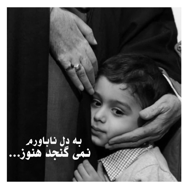به دل ناباورم نمی گنجد هنوز...