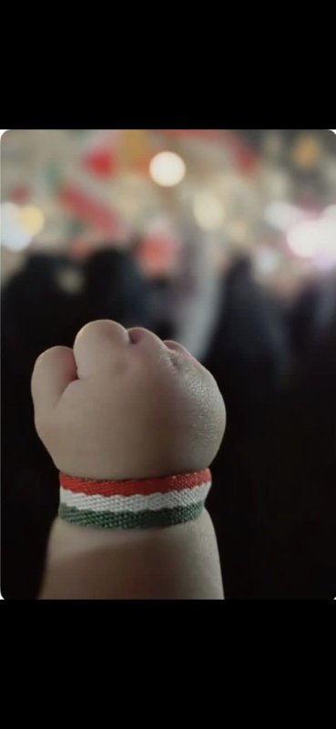 دختران مکتب سیدعلی