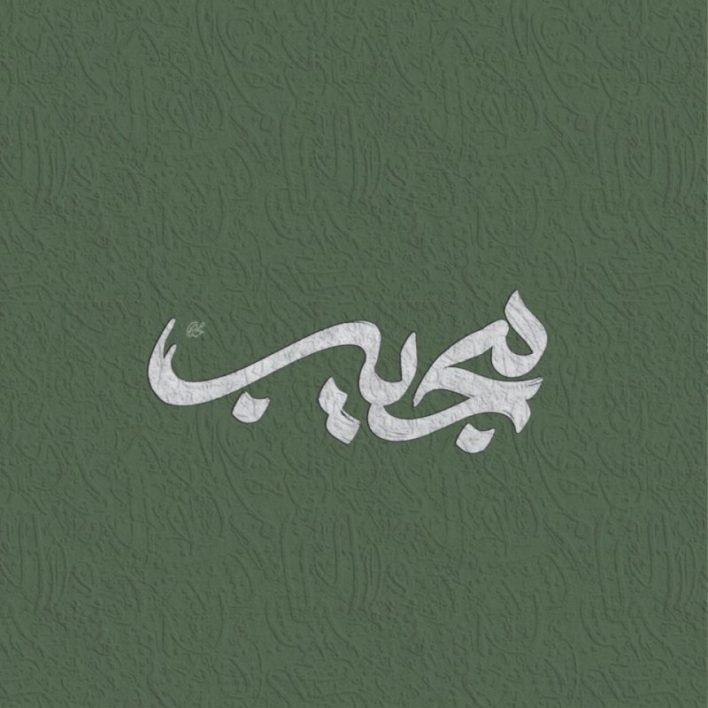 مجیب