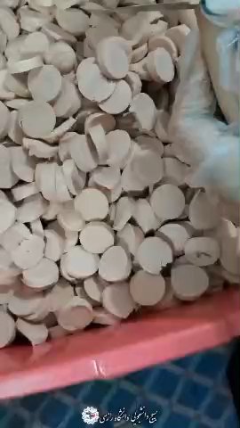 موکب دانشگاه