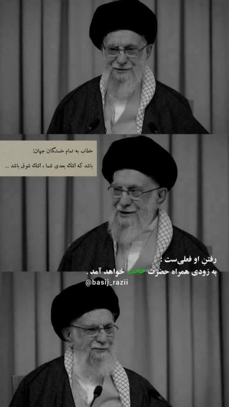 قائد شهید امت
