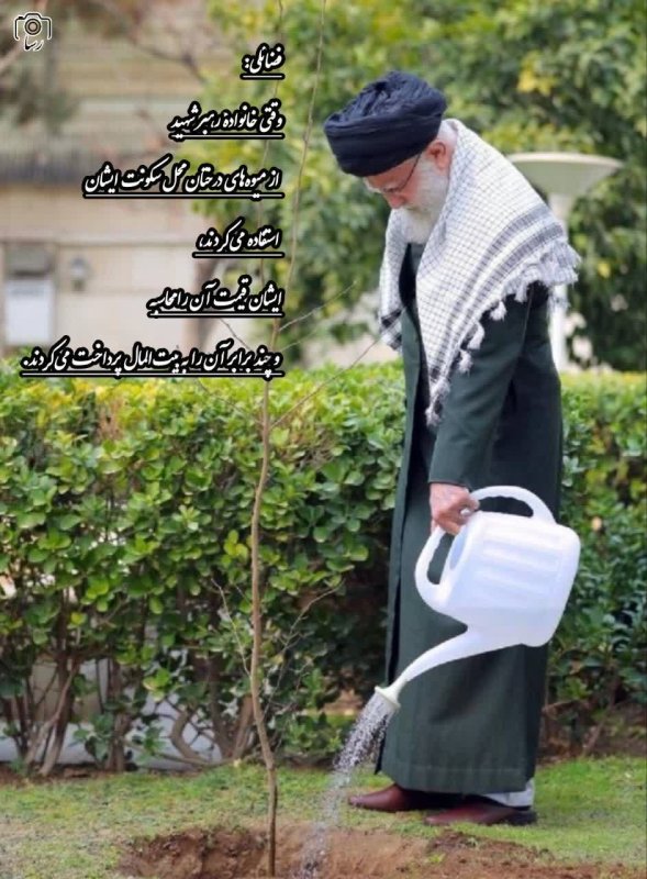 درختان میوه
