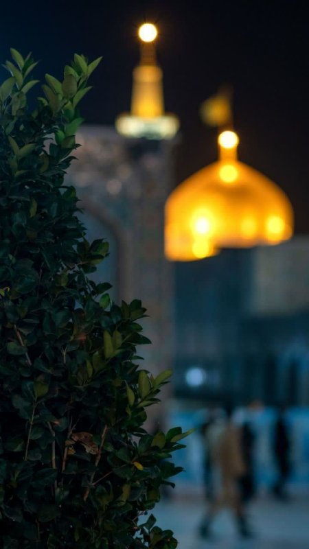 یا‌رضا‌گفتم‌و‌،وا‌شد‌به‌نگاهت‌گره‌ها💛🌼