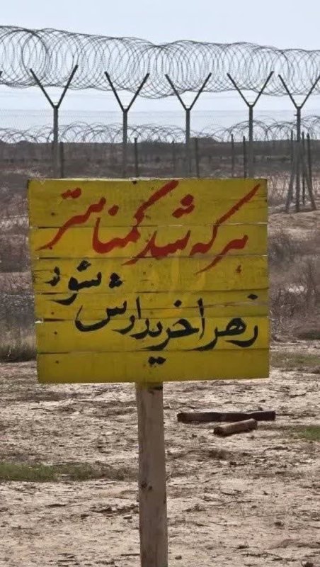 زهرا خریدارش شود