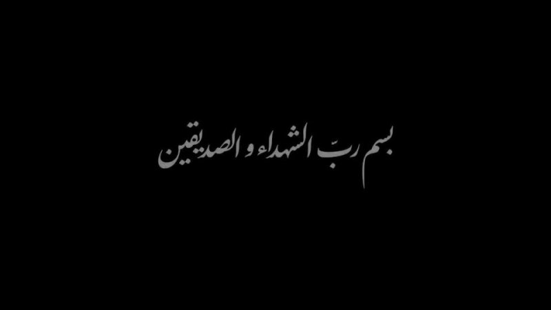 شهید میرافضلی