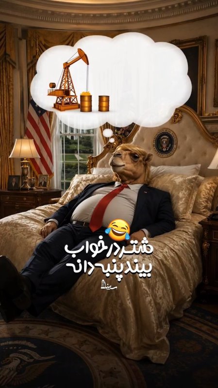 شتر در خواب بیند پنبه دانه