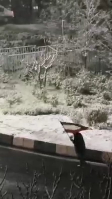تا‌اخرین نفس برای وطن...