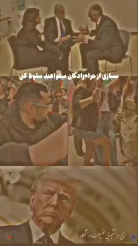 وحدت ملی