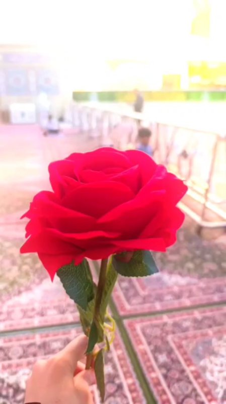 اَمیری حُب علی 🌸