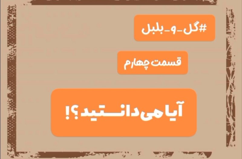 گل و بلبل (قسمت چهارم)