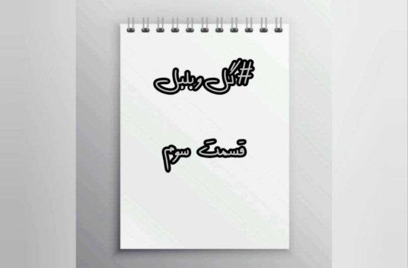 گل و بلبل (قسمت سوم)