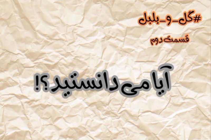 گل و بلبل (قسمت دوم)