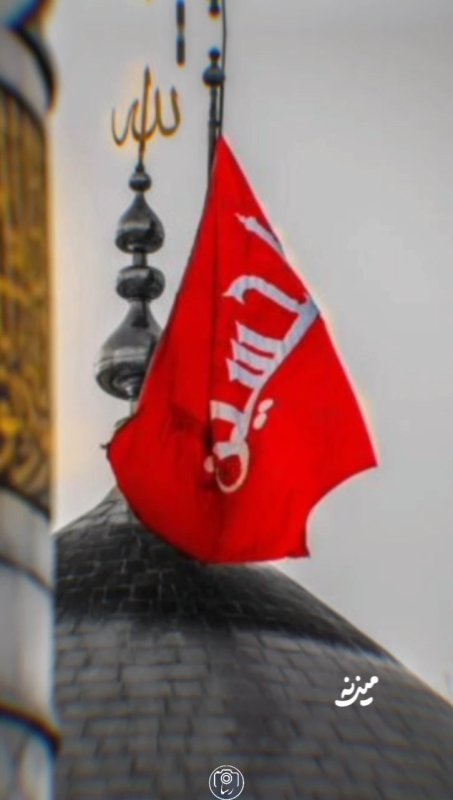 بوی