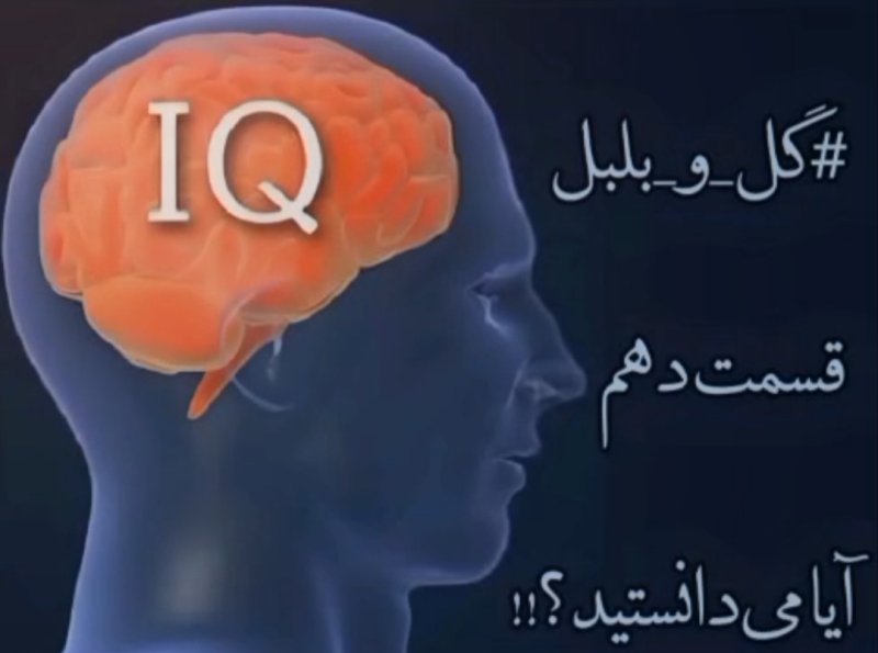 گل و بلبل (قسمت دهم)