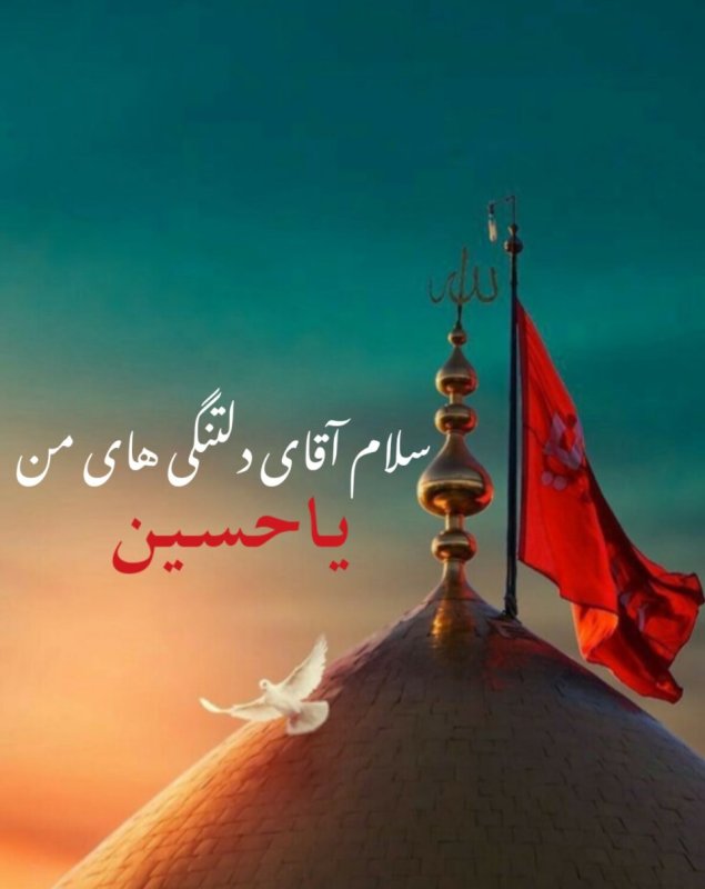 آقای دلتنگی ها